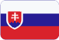 Řídící jednotka Slovensky